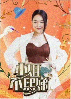 赶集日纪录片封面插图