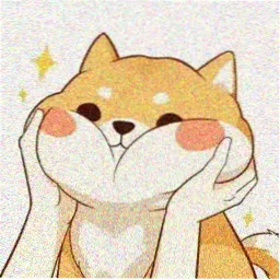 观众阿禾头像